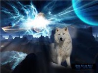 /album/secret-singing-wolves/images-68-kopie-jpg/